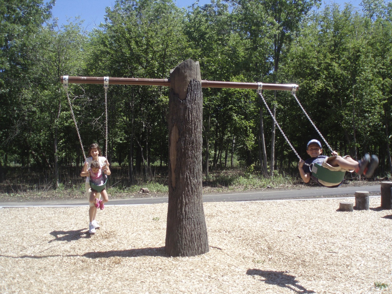 Tree Trunk Swing | cre8play