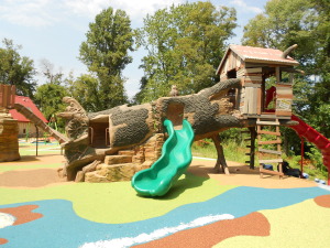 WM Playground Photo - Tilted Tree 1of2