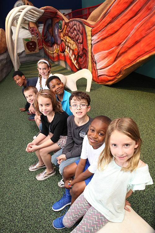 Cre8Play Interative Playground Kids