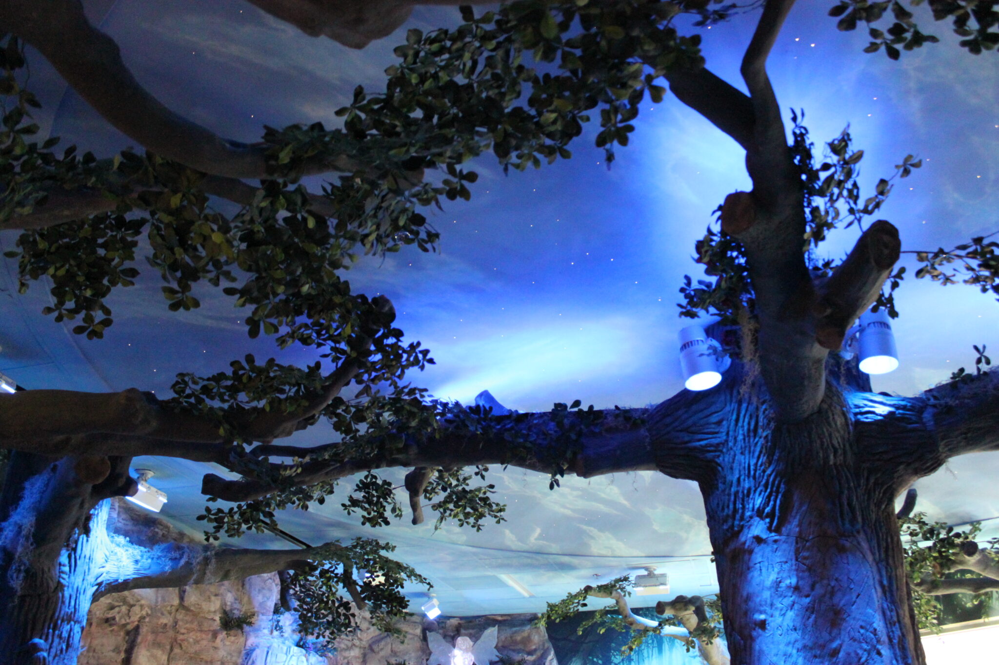 Enchanted Forest Playground