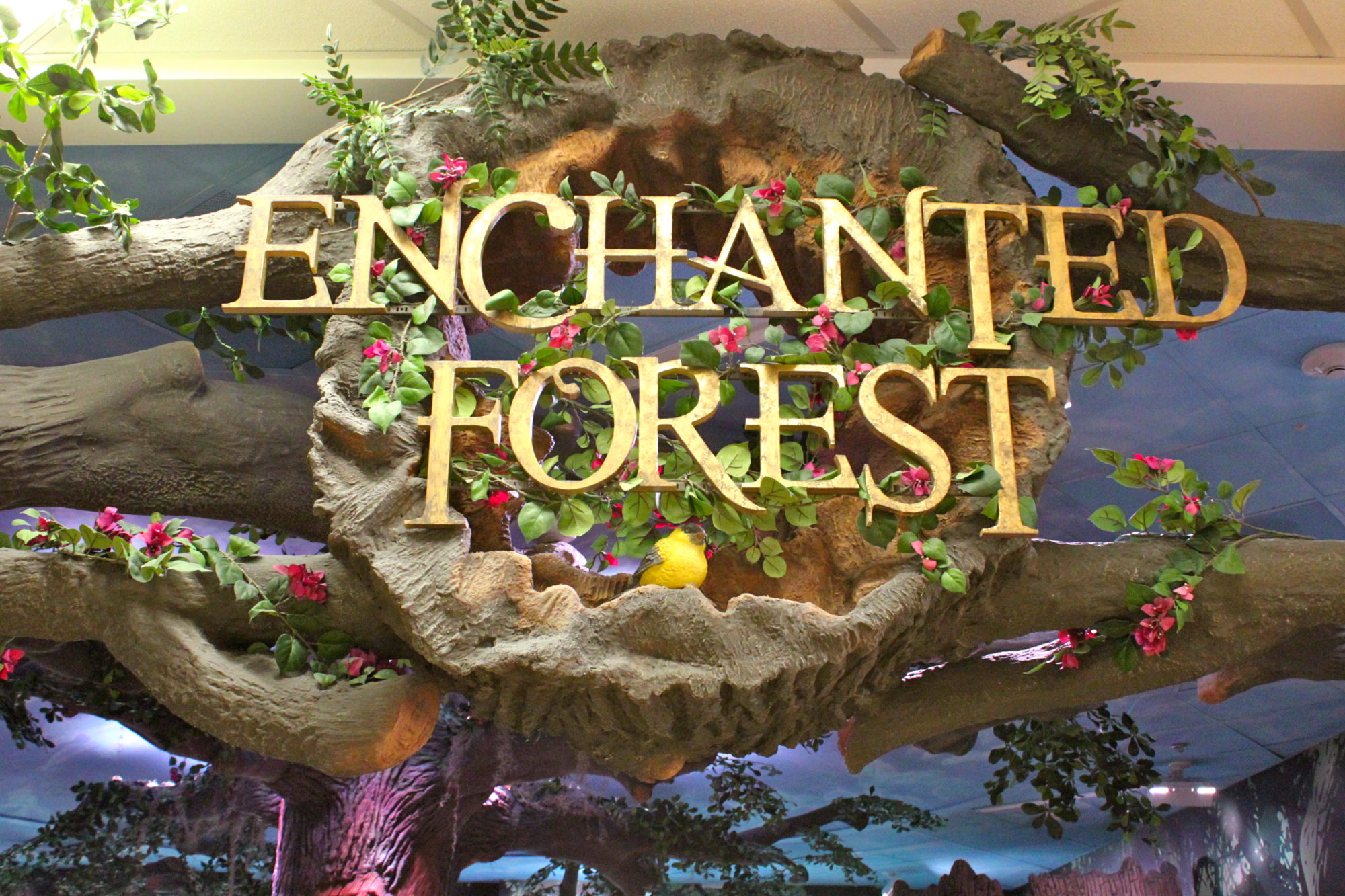 Enchanted Forest Playground